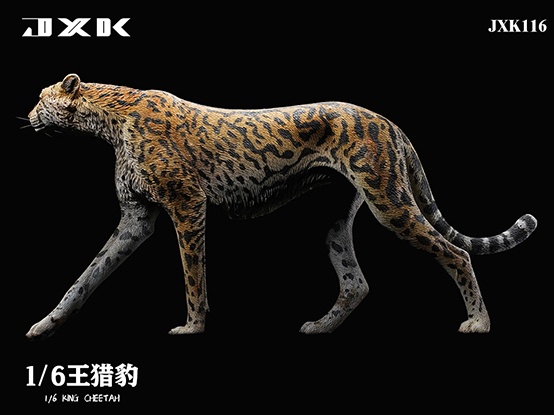 King Cheetah | HLJ.com