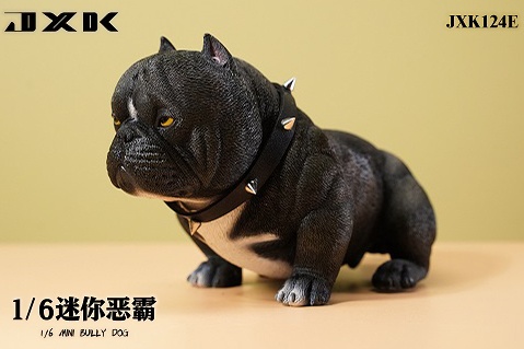 JXK 1/6 Mini Bully Dog Model Animal American Bully Pitbull Toy Collector  Decor