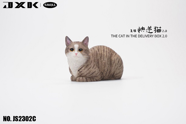 Mini Cat in Carton Box C Gray Stripe