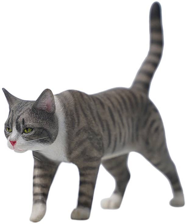 ★ kittychan★ jxk95723_0.jpg