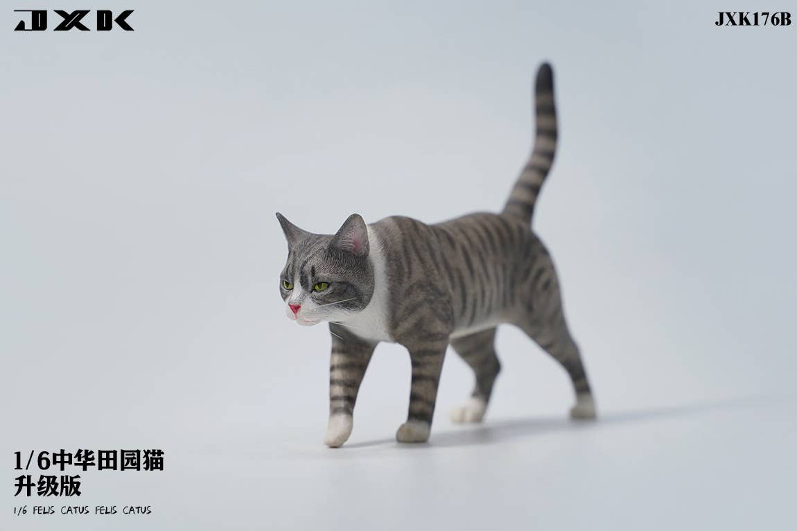 ★ kittychan★ Cat C | HLJ.com