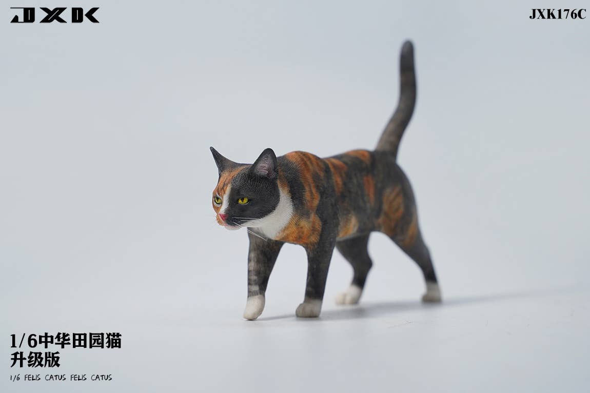 cats様 cathatcoin (JIA & SALLY) (@cathatcoin) / X
