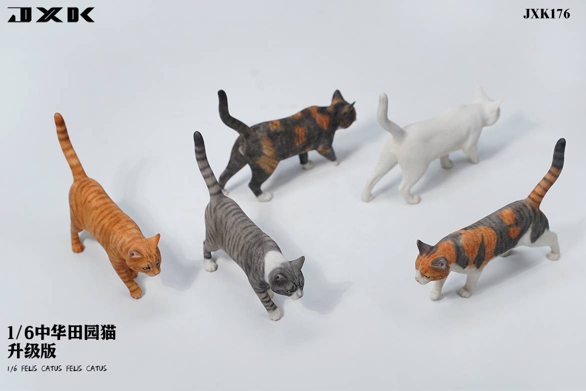 cats様 cathatcoin (JIA & SALLY) (@cathatcoin) / X