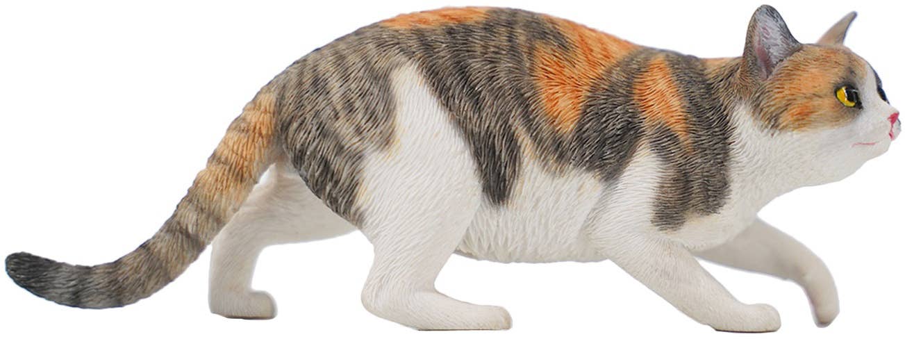 Cat 3.0 A2 | HLJ.com