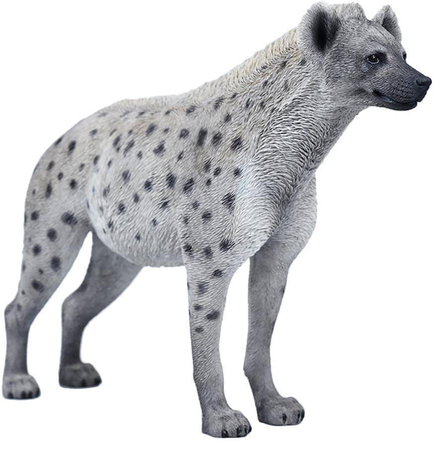 Hyena A1 | HLJ.com