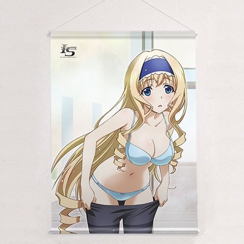 IS Infinite Stratos 2 Laura Houki Cecilia B2 Tapestry Wall Scroll animate