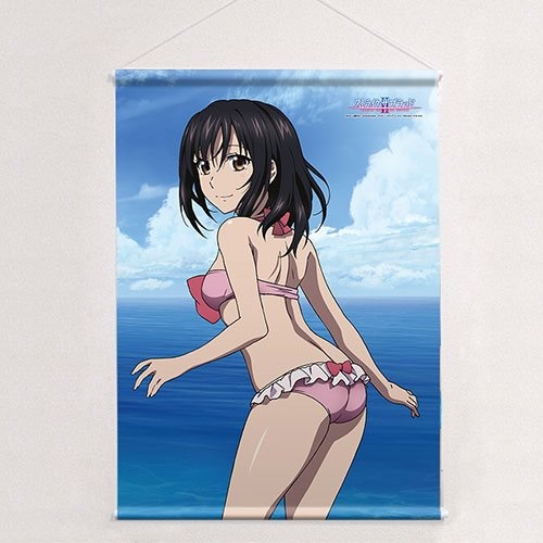 Double Sided Anime Swimsuit Poster: Is the Order a Rabbit Cocoa Strike the  Blood