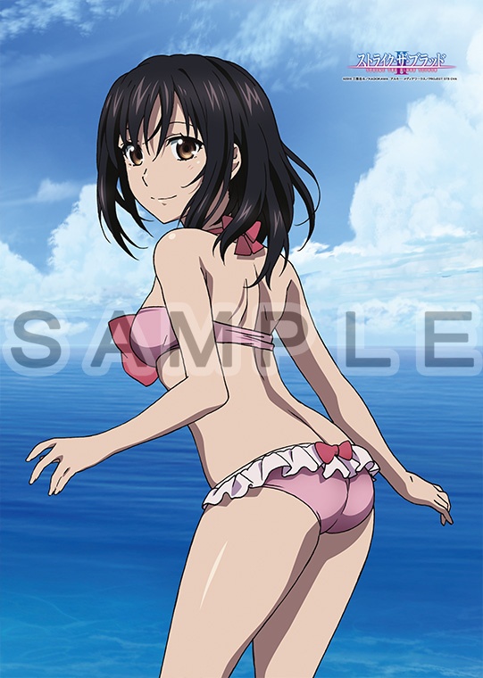 Strike the Blood Yukina Himeragi B2 Tapestry A