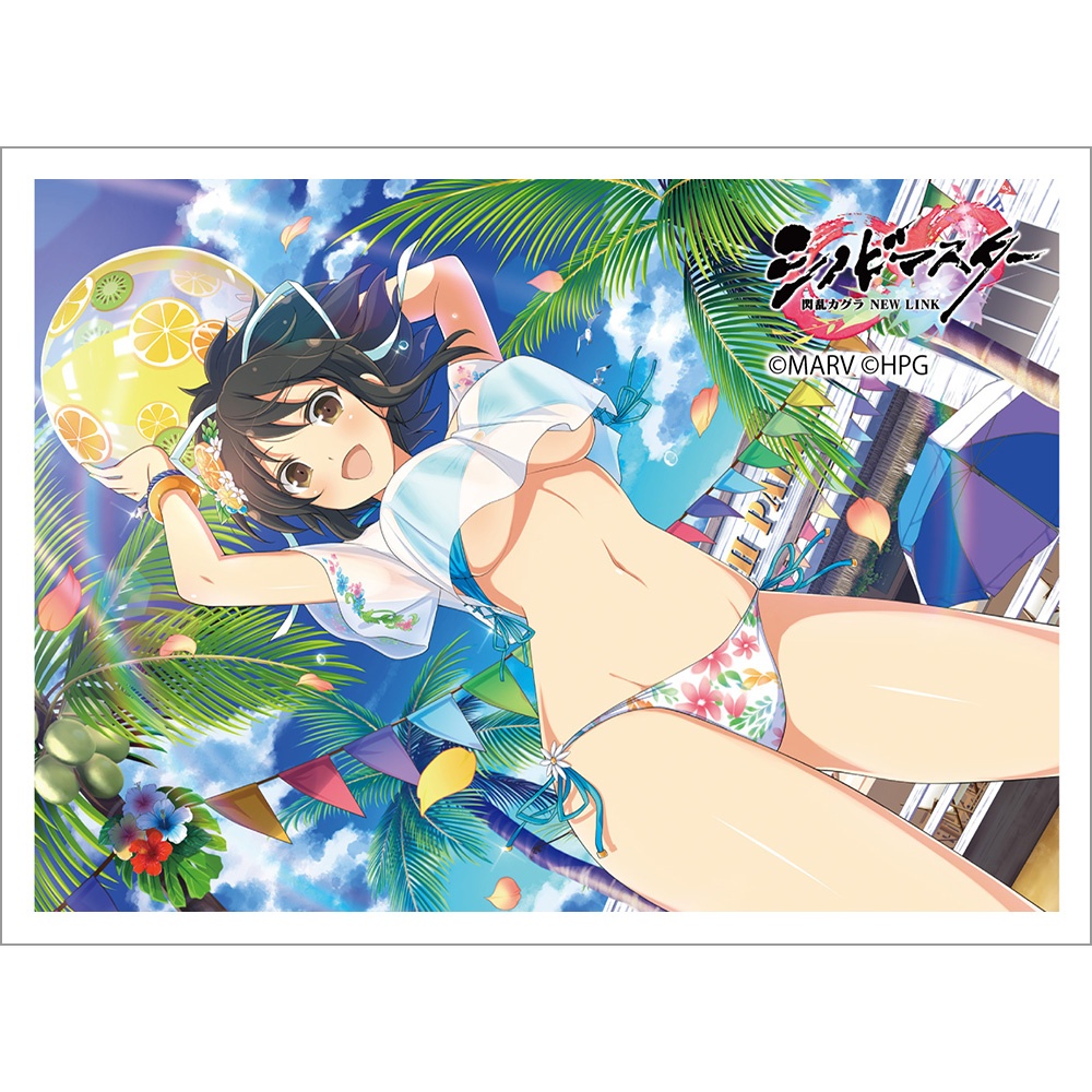 [Shinobi Master Senran Kagura NEW LINK] Sleeve (Asuka)