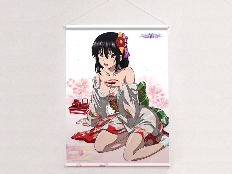Himeragi Yukina - Tapestry - Strike the Blood (『ストライク
