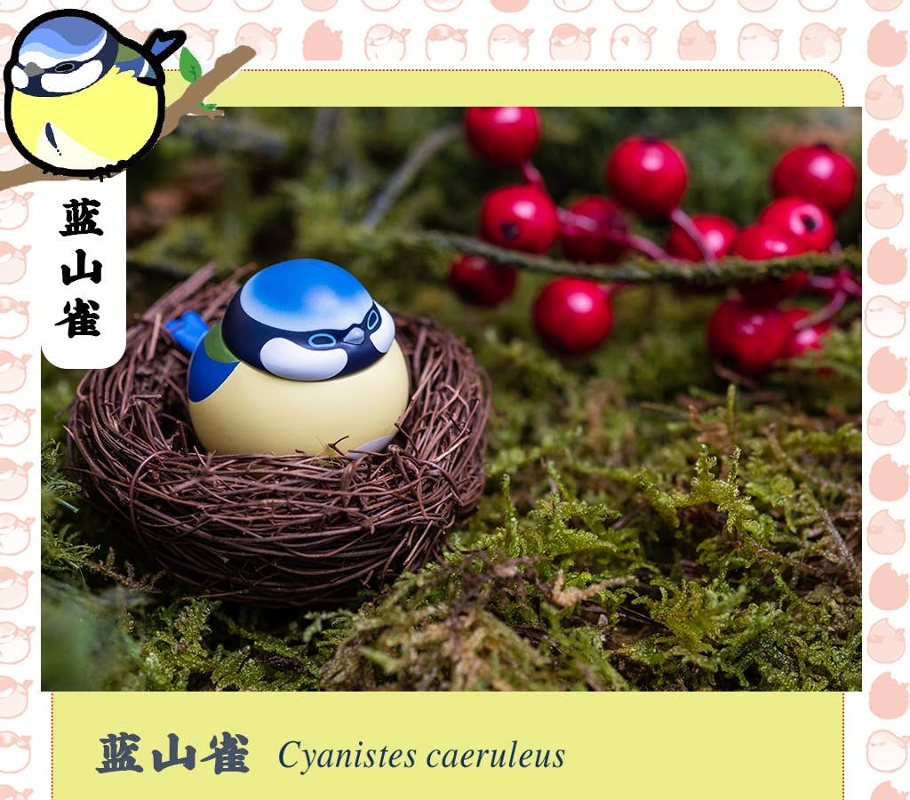 KONGZOO Tweet Tweet Birds Series 2nd Bird of The World: 1Box (9pcs
