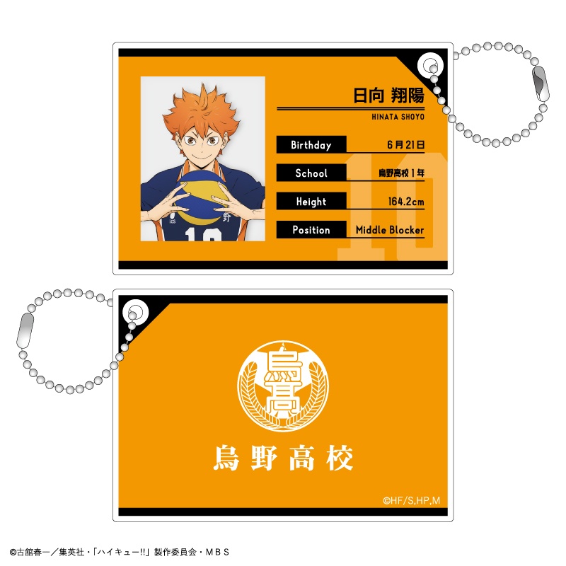 Haikyu - Hinata Shoto Light Box (Shipping Calculated At Checkout) –  flyingraijinotakufactory