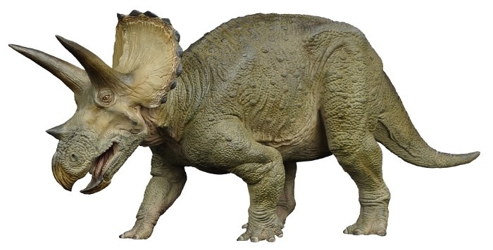 Mega Sofubi Advance Triceratops | HLJ.com Mega Sofubi Advance Triceratops | HLJ.com