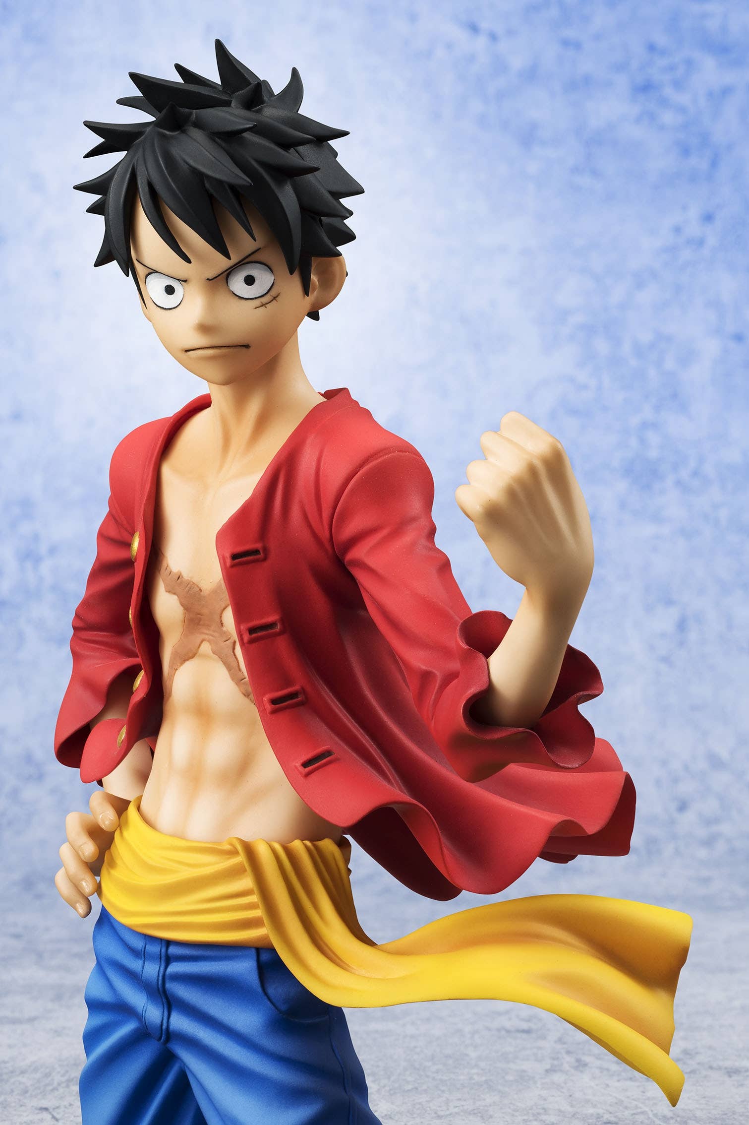 P.O.P One Piece 