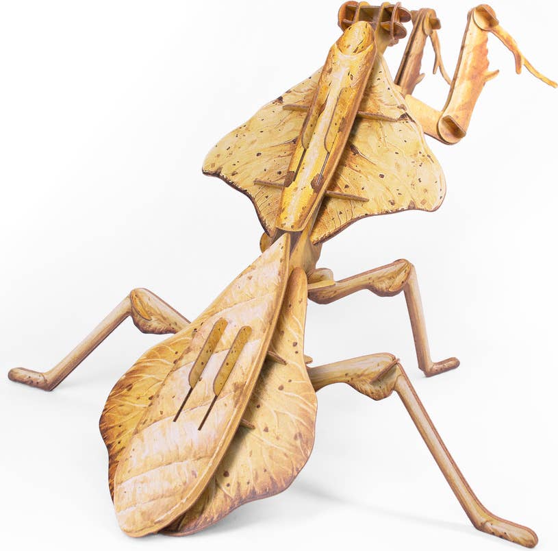 かみ　crooja mantis 148cm 23-24 3D Kraft Paper Puzzle Dead Leaf Mantis | HLJ.com