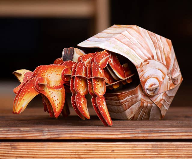 3D Kraft Paper Puzzle Hermit Crab | HLJ.com