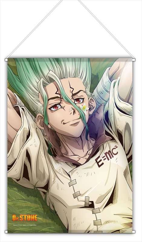 【neko kiitoneko】Dr.STONE 👾 Kohaku Dr. Stone・ 3D File for ・Cults