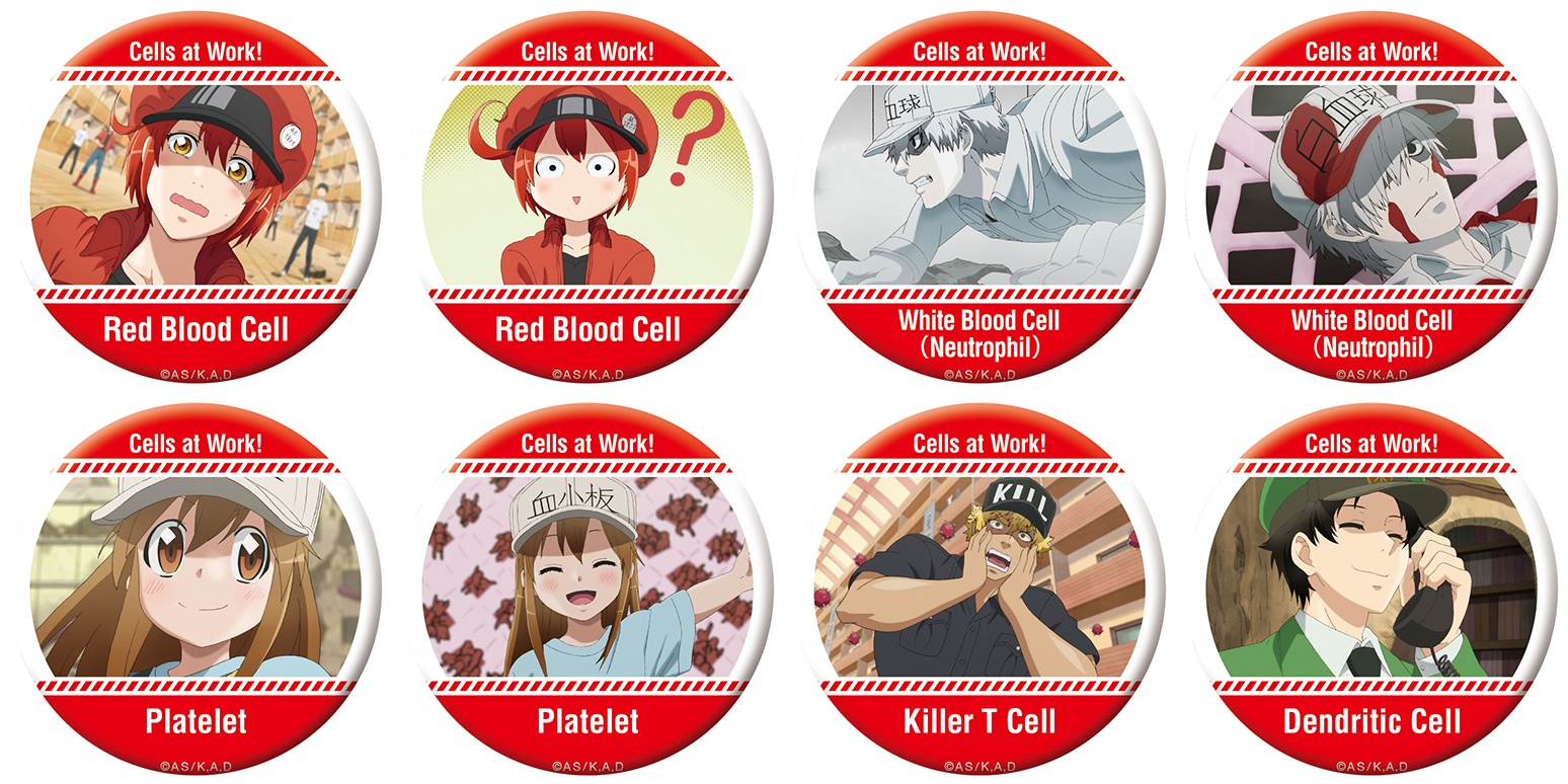 Cells at Work! (Anime Ver.) Character Badge Collection: Still Photography:  1Box (8pcs)