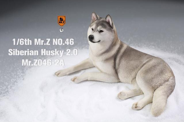 siberian husky CD4枚