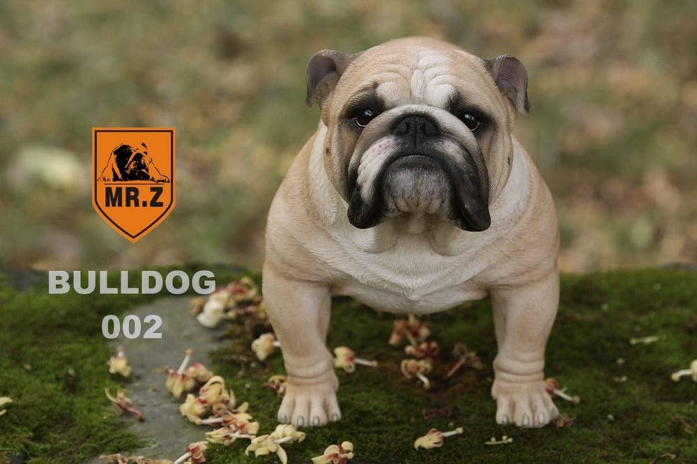 Mr.Z Bulldog Figure 002