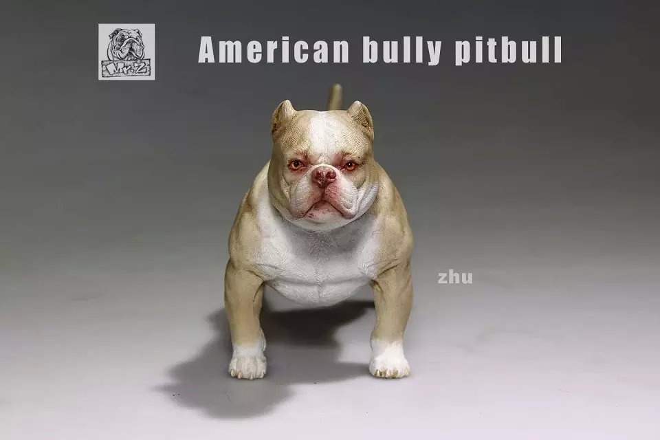 American Bully Pitbull Figures, Figures American Bully Dog