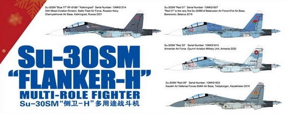 Sukhoi Su-30sm Flanker H Fighter Aircraft russian Air Force