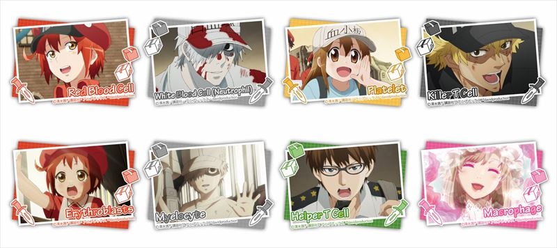 Cells at Work! (Anime Ver.) Character Badge Collection: Still Photography:  1Box (8pcs)