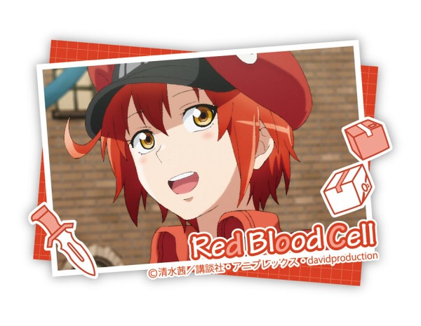 Cells at Work! (Anime Ver.) Character Badge Collection: Still Photography:  1Box (8pcs)