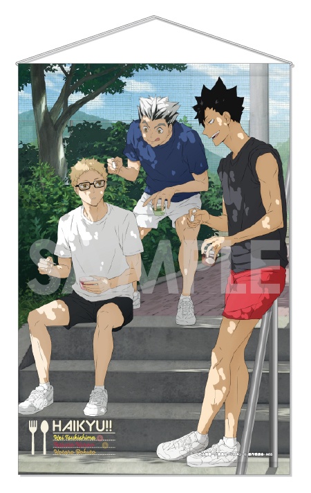 Haikyuu To The Top Tokyo Station Festival Goods B3 Tapestry