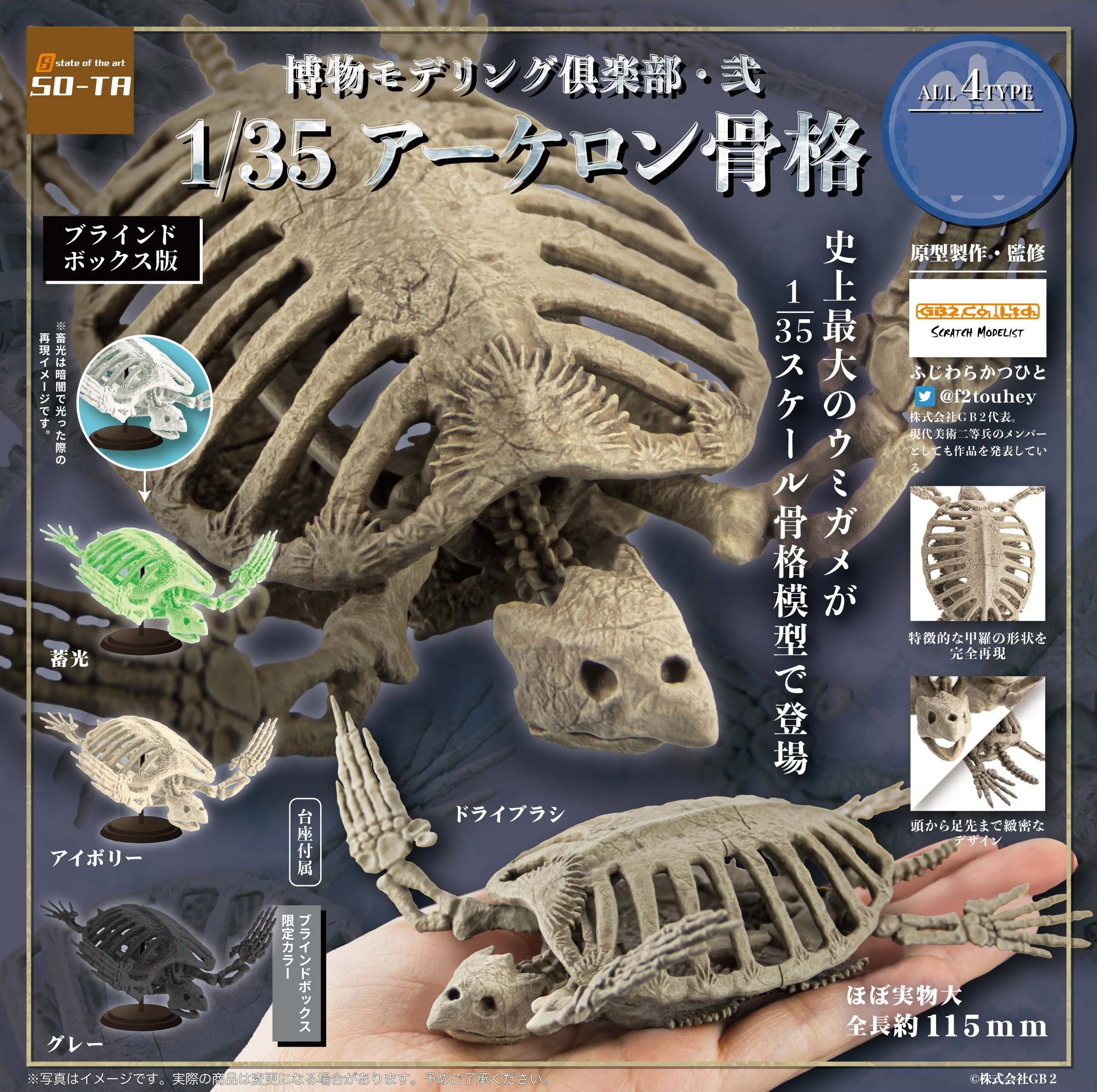Natural History Modeling Club 2 Archelon Skeleton 1Box 4pcs