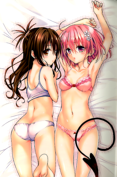 To Love Ru Darkness Illustration Venus Hlj Com