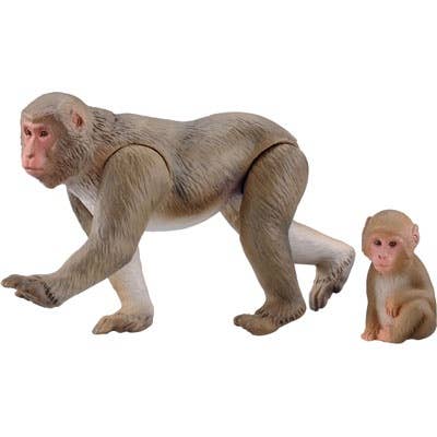 Japanese monkey様 Kitan Club Japan Exclusive Japanese Macaque Snow Monkey