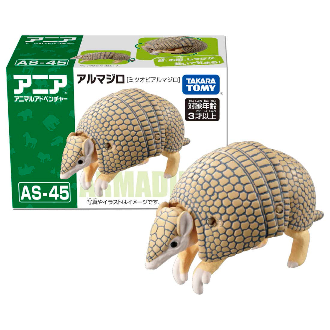 Ania AS-45 Armadillo (Brazilian Three-banded Armadillo) | HLJ.com