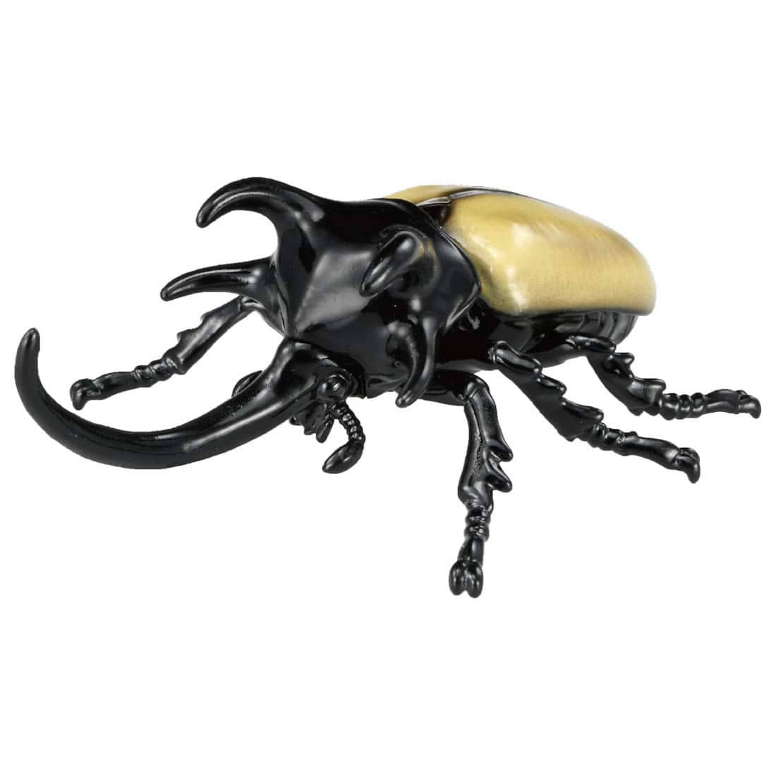 Ania AS-41 Eupatorus