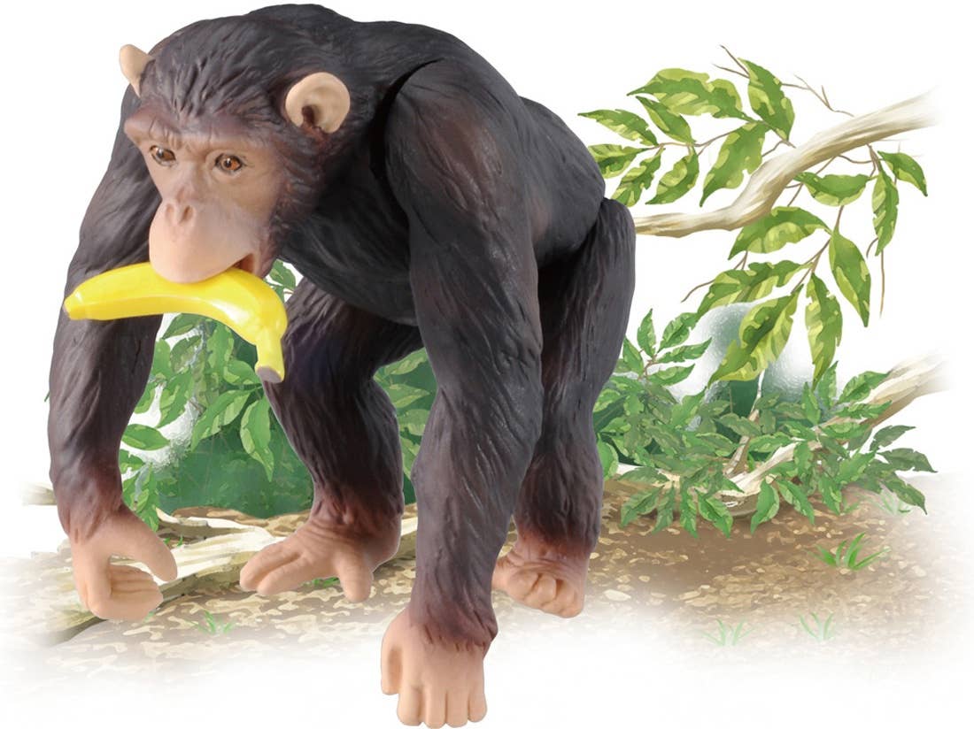 Ania AS-14 Common Chimpanzee | HLJ.com