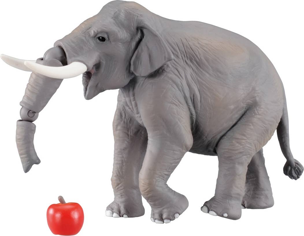 Elephantさま専用 Ania AS-33 Asian Elephant | HLJ.com