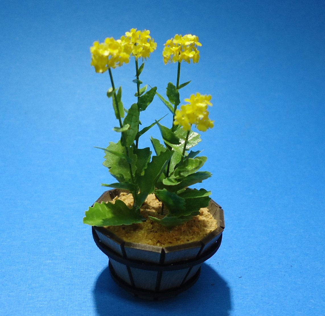 種類豊富な品揃え canola flower様 専用 航空機 - en.casacol.co