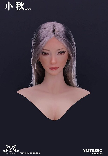 今年人気のブランド品や Silver Gray C: Head Female Long HLJ.com | Hair Straight 一般