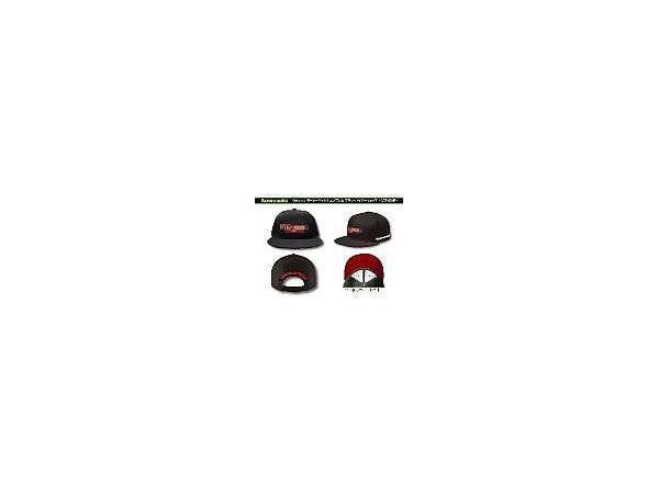 Kawasaki Motorcycle Emblem Flat Visor Cap (GPZ900R)