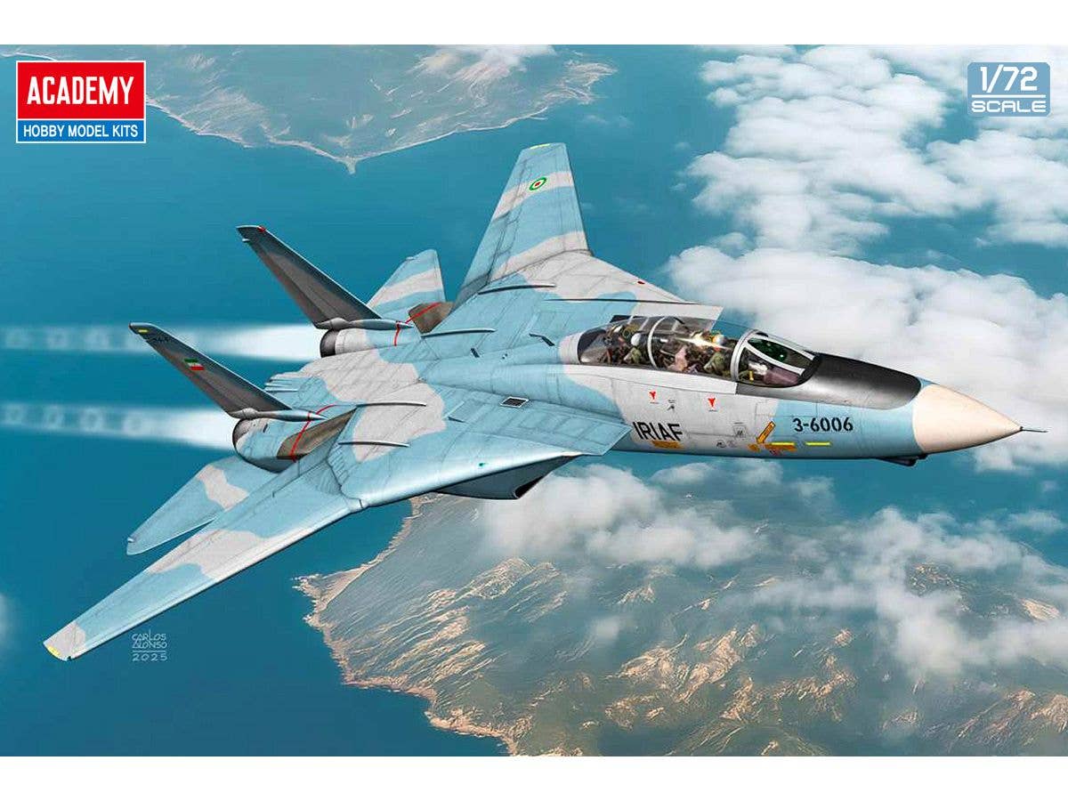 F-14A Tomcat IRIAF