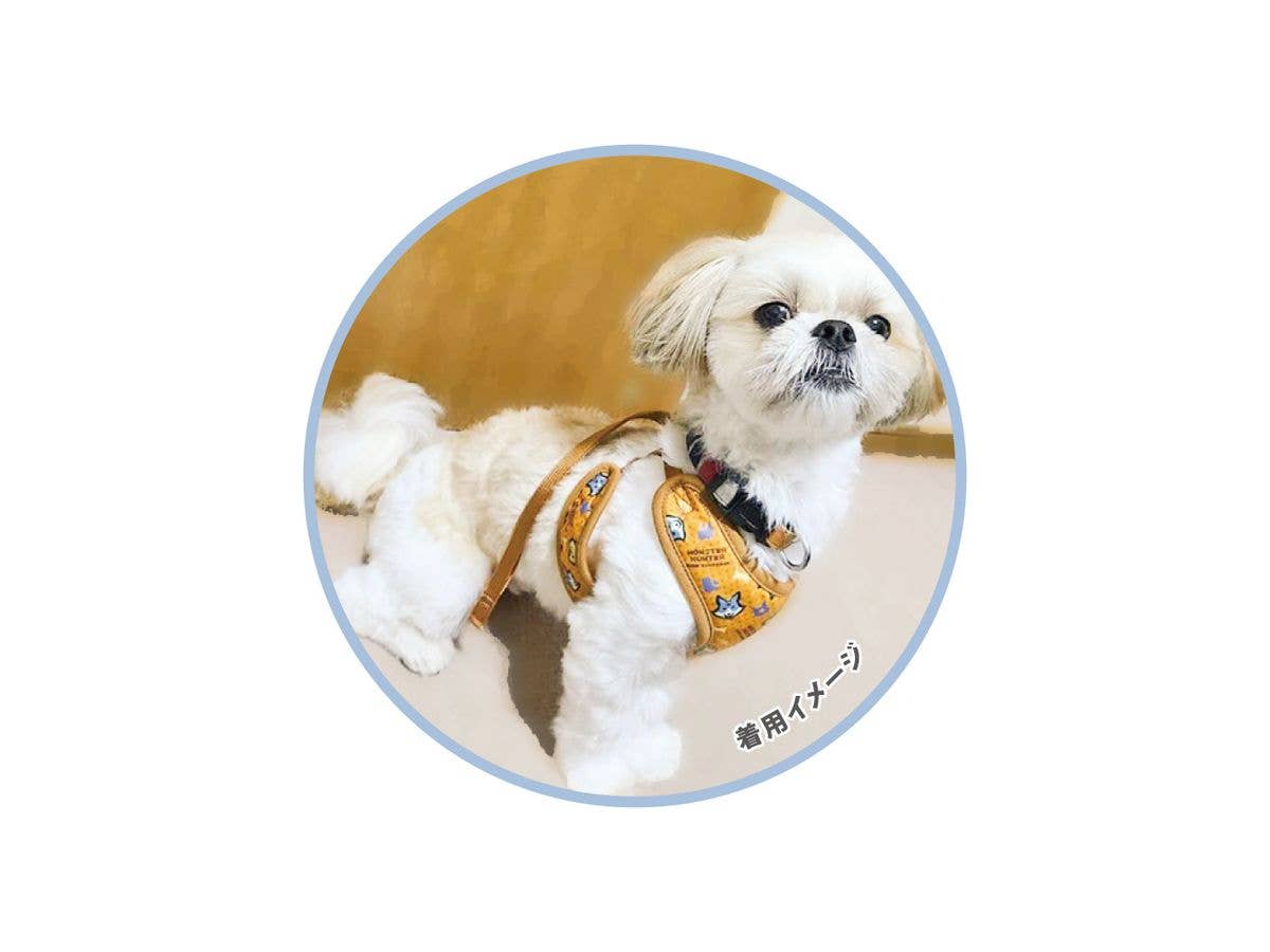 Monster Hunter Rise: Sunbreak Harness 2. Monster Pattern M