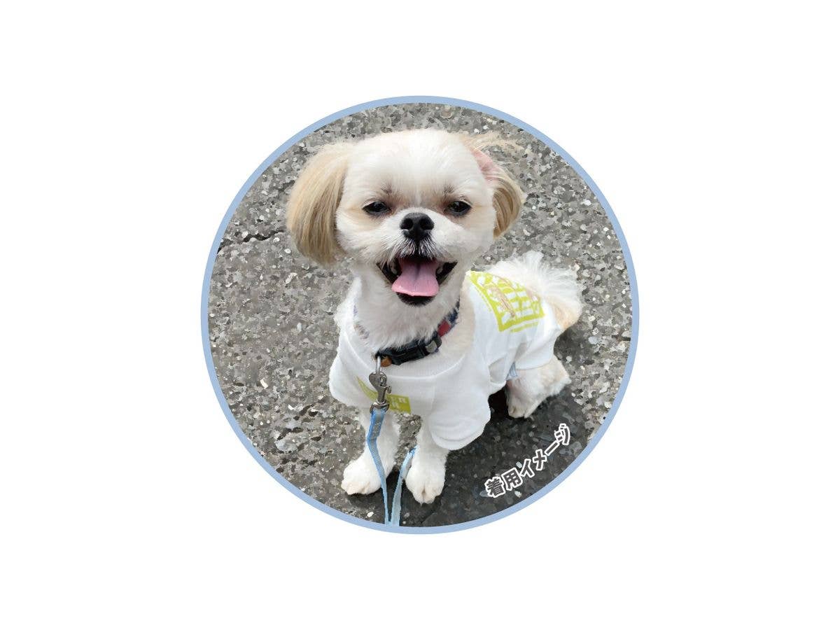 Monster Hunter Rise: Sunbreak Petwear 3. Logo L