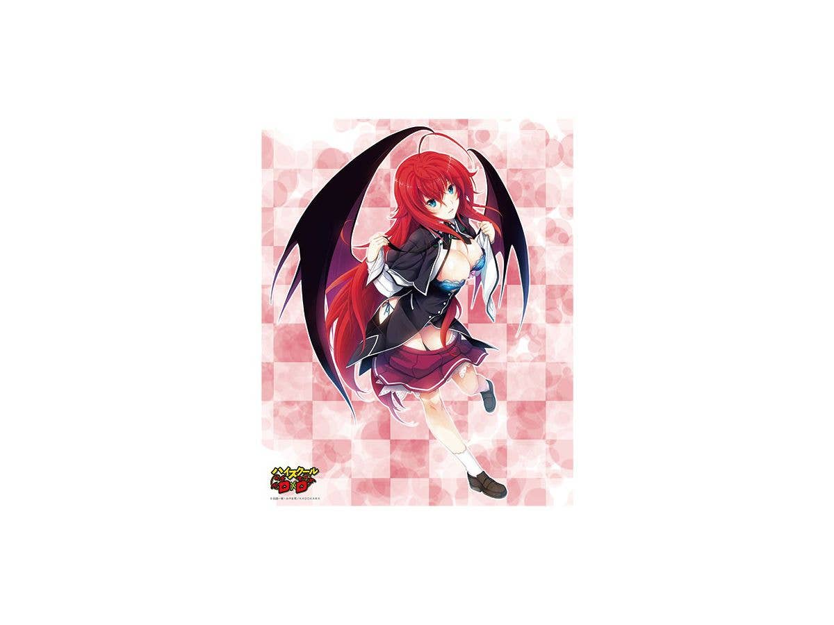 Axia Canvas Art Series No.073 High School D x D Rias Gremory Original Edition Part.4