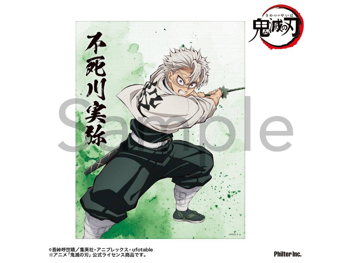 Anime Demon Slayer: Mini Canvas Sanemi Shinazugawa