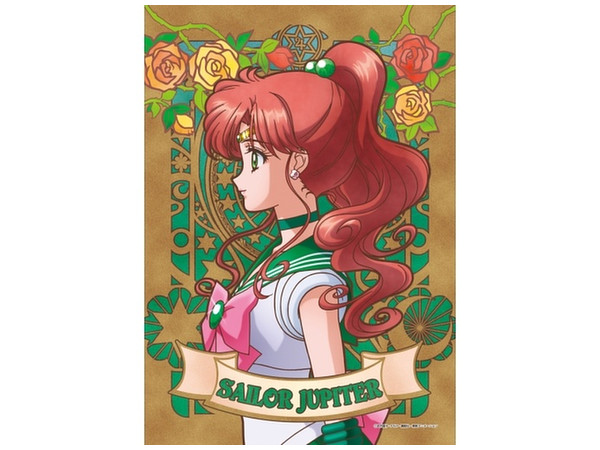 Sailor Moon Crystal (Art Crystal Jigsaw)/ Sailor Jupiter 208pcs