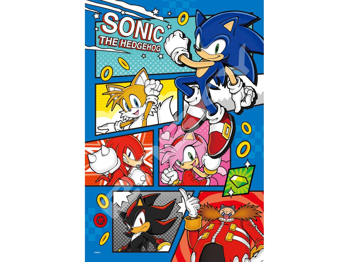 Jigsaw Puzzle Sonic the Hedgehog: SONIC THE HEDGEHOG 300pcs (No.300-3028: 380 x 260mm)