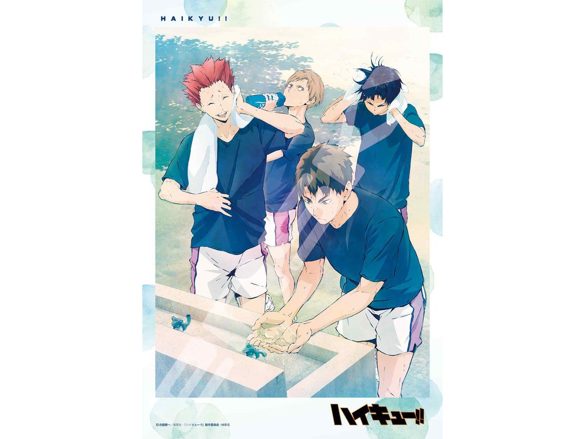 Jigsaw Puzzle Haikyu!!: In The Fresh Green 300pcs (No.300-3052: 380 x 260mm)