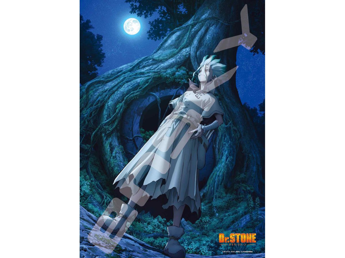 Jigsaw Puzzle Dr.STONE: NEW WORLD 500pcs (No.500-546: 530 x 380mm)
