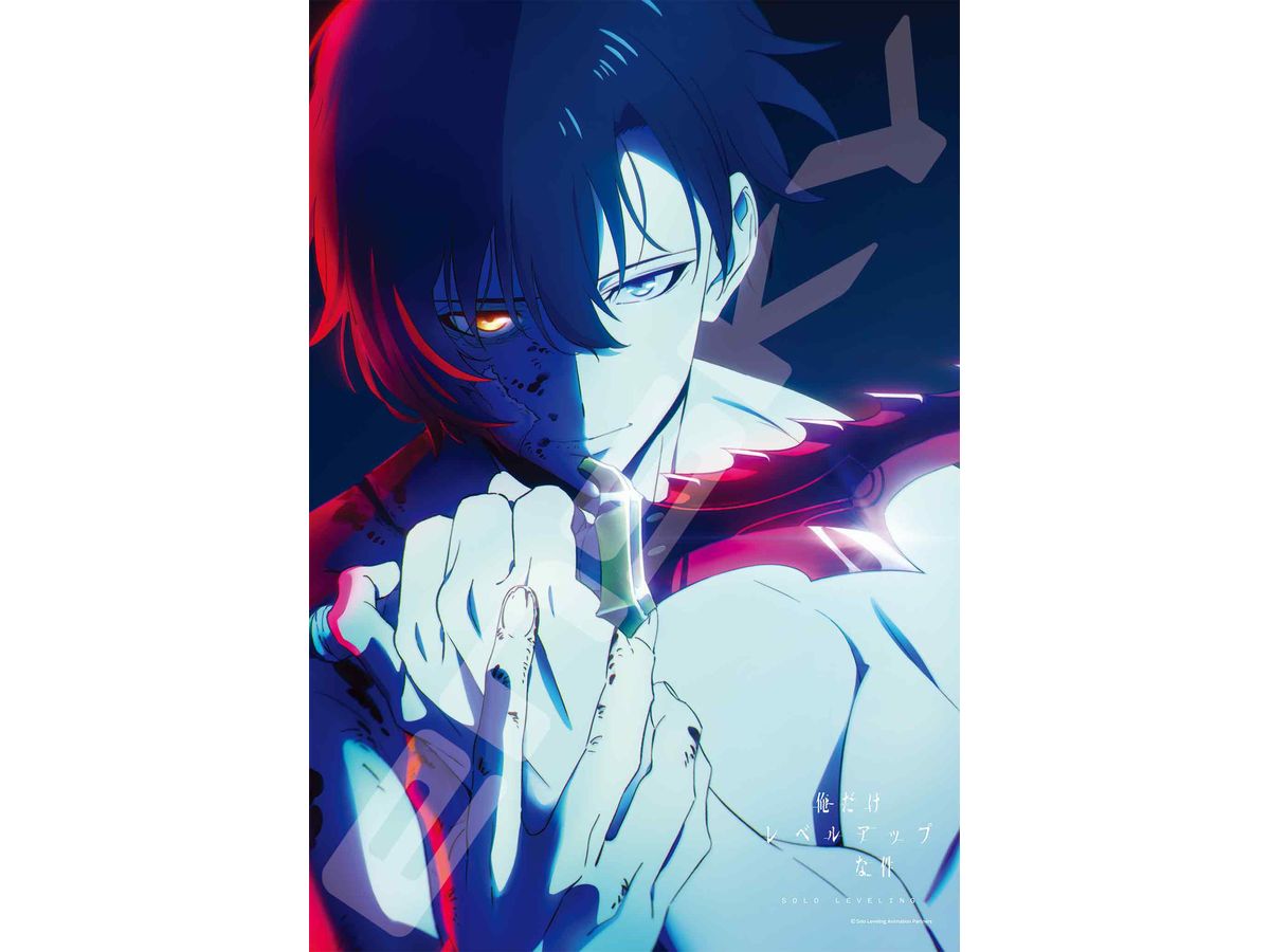 Jigsaw Puzzle Solo Leveling: Solo Leveling 300pcs (No.300-3088: 380 x 260mm)