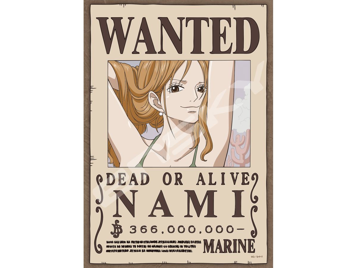 ONE PIECE Navigator Cat Burglar Nami 208pcs (No.208-136 : 180 x 257mm)